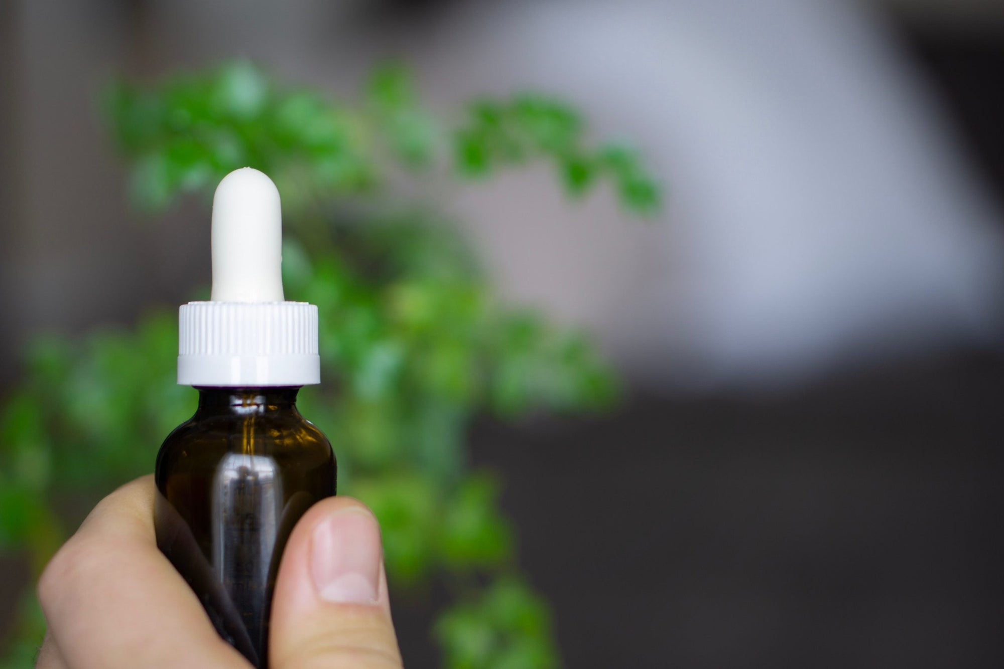 CBD e CBA: entenda a diferença entre os dois e conheça seus benefícios – Use Orgânico