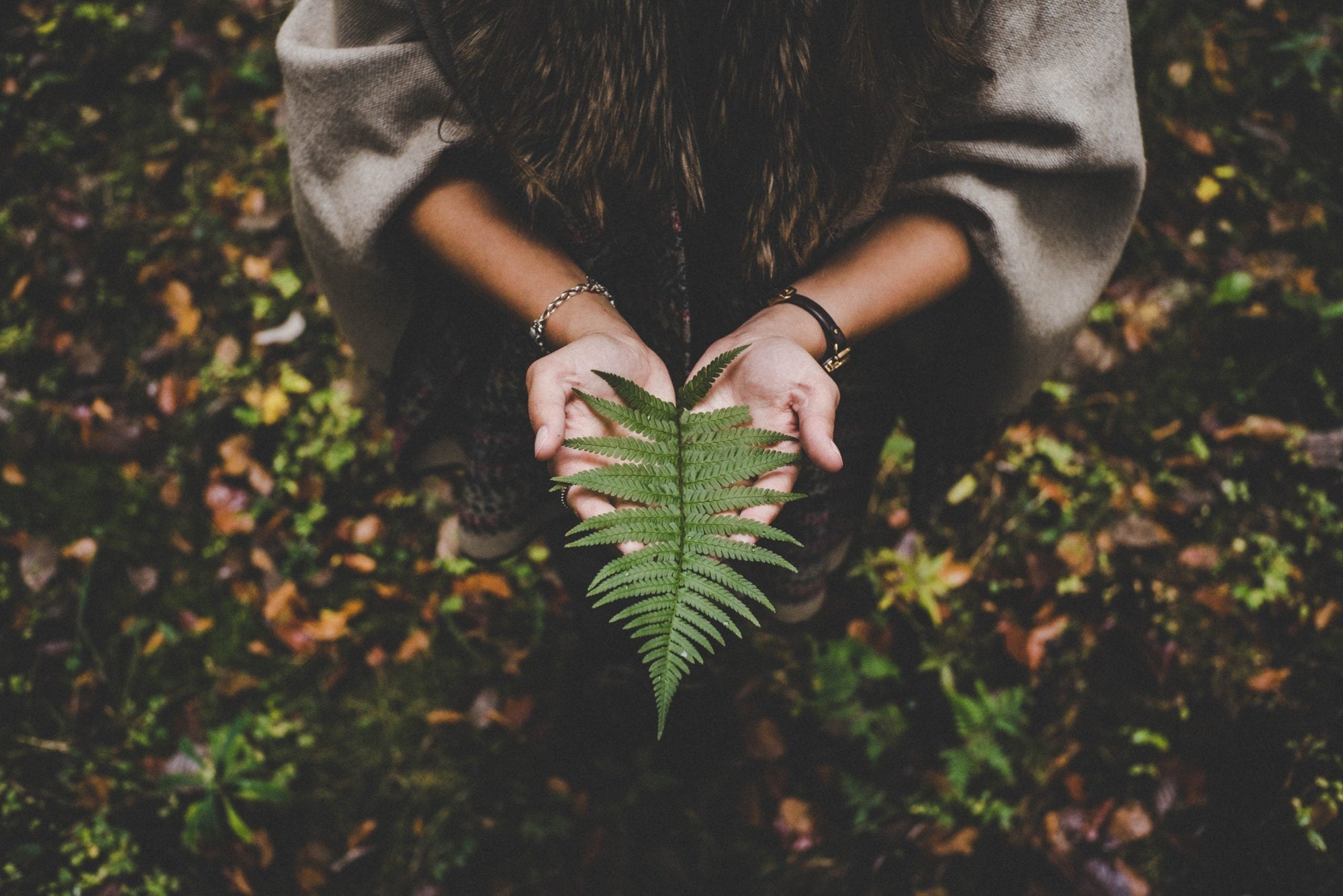ESG: o compromisso ambiental real da Use Orgânico – Use Orgânico
