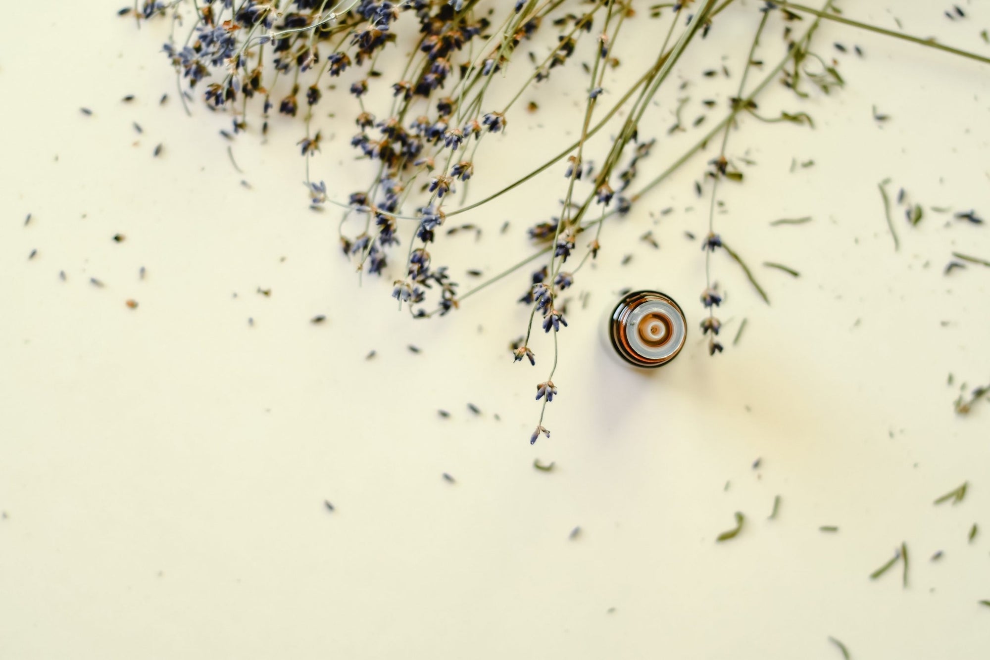 Phytoterápica: nova marca de óleos essenciais na Use Orgânico – Use Orgânico