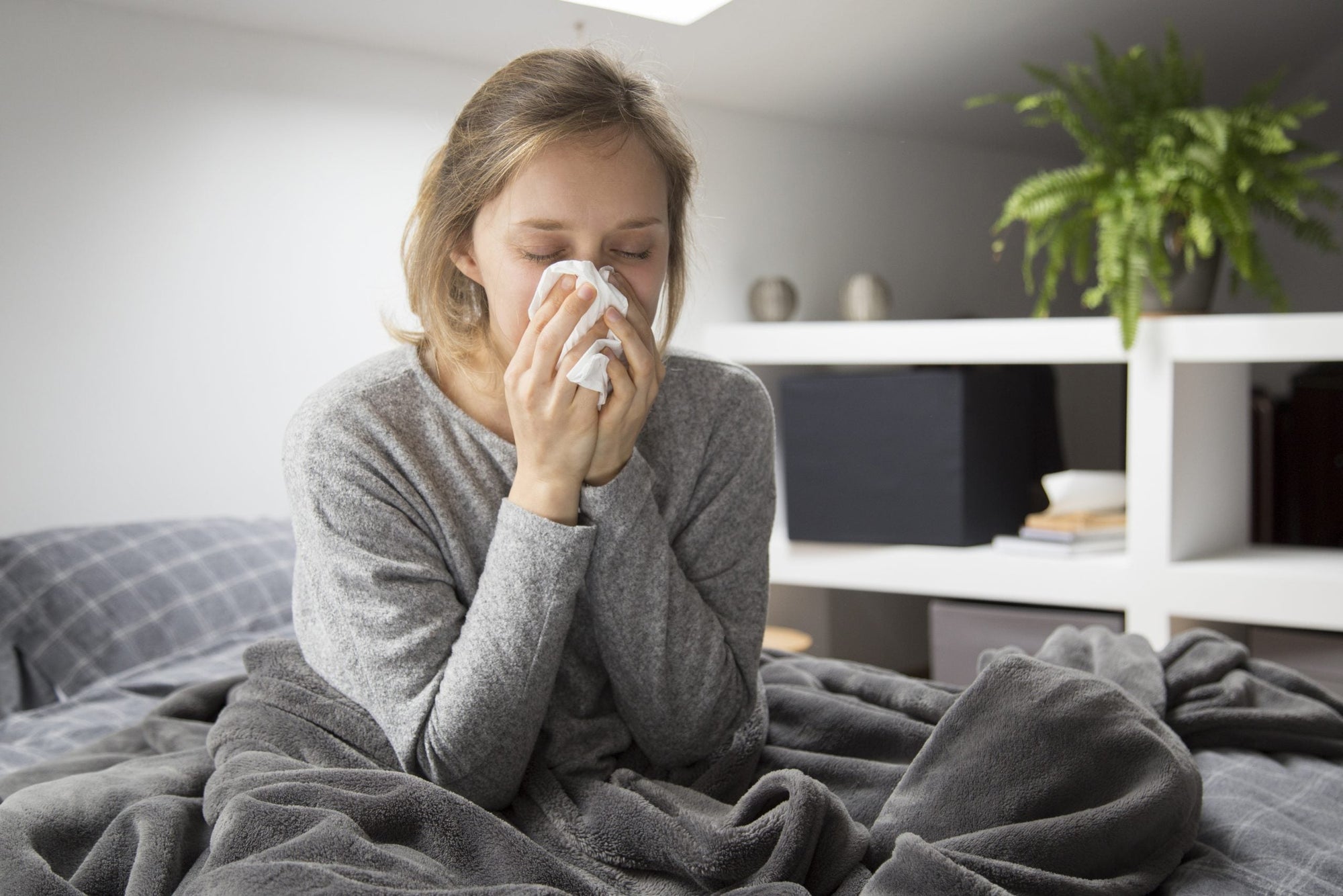 aromaterapia antiviral