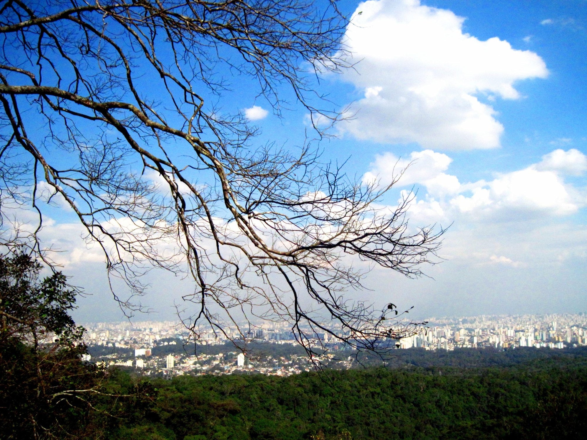 5 Áreas Verdes para conhecer em São Paulo – Use Orgânico