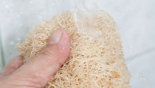 Bucha vegetal: Descubra as vantagens desse produto natural!