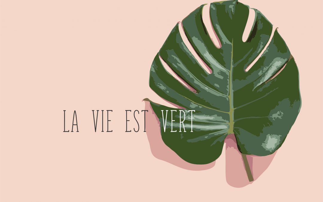 Dicas de como cultivar plantas em apartamento !