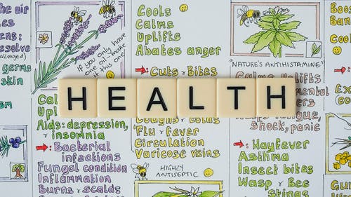 HEALTHSPAN. O que significa esse mais novo termo – Use Orgânico