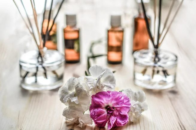 Conheça mais sobre a história da aromaterapia e óleos essenciais – Use Orgânico