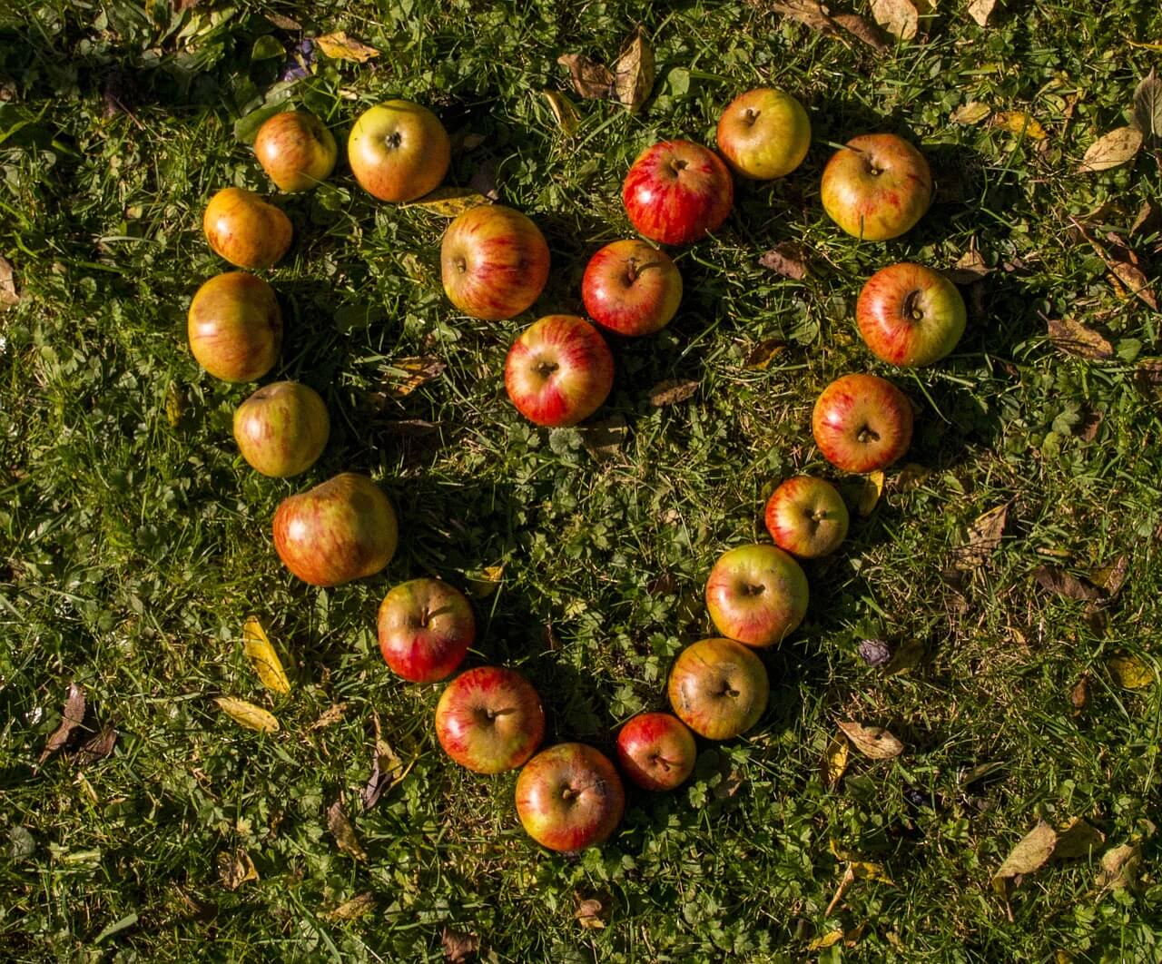 Você sabe o que é Mindful Eating?