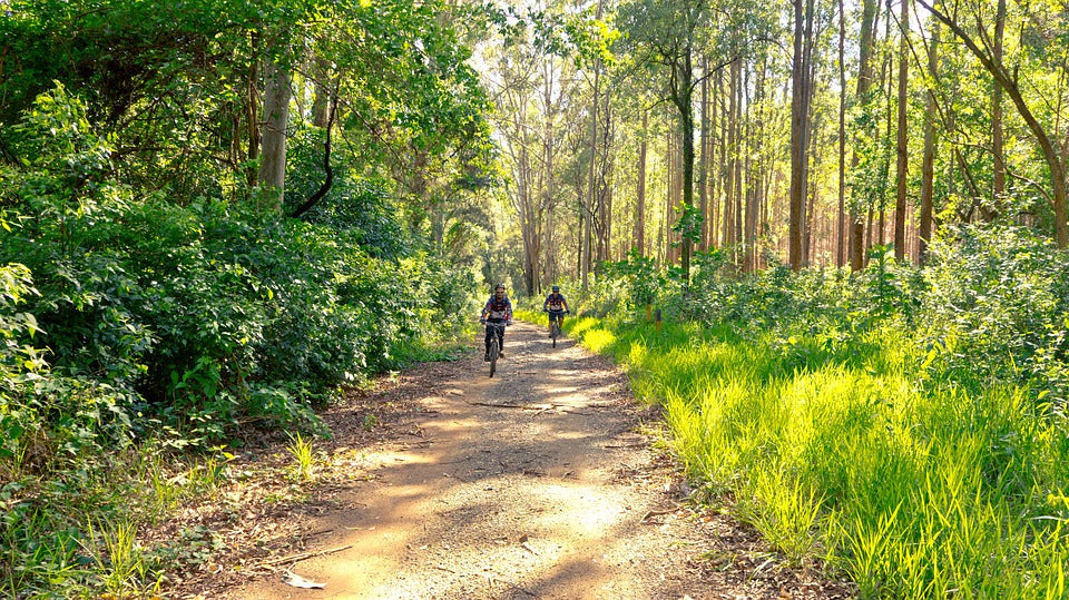 12 benefícios de passar tempo junto à natureza, atestados pela ciência – Use Orgânico