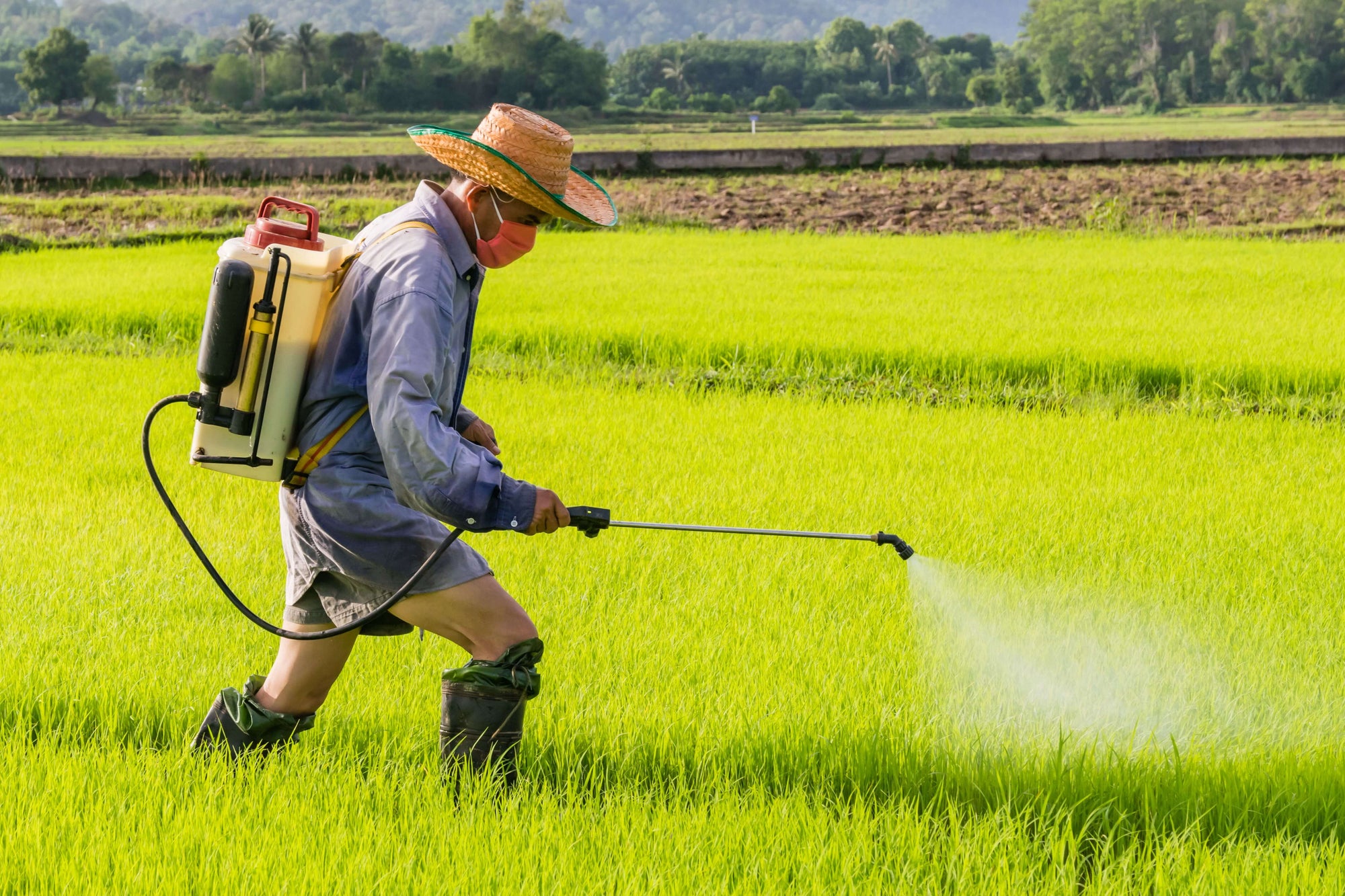 O que é agrotóxico e por que ficar longe dessa substância?
