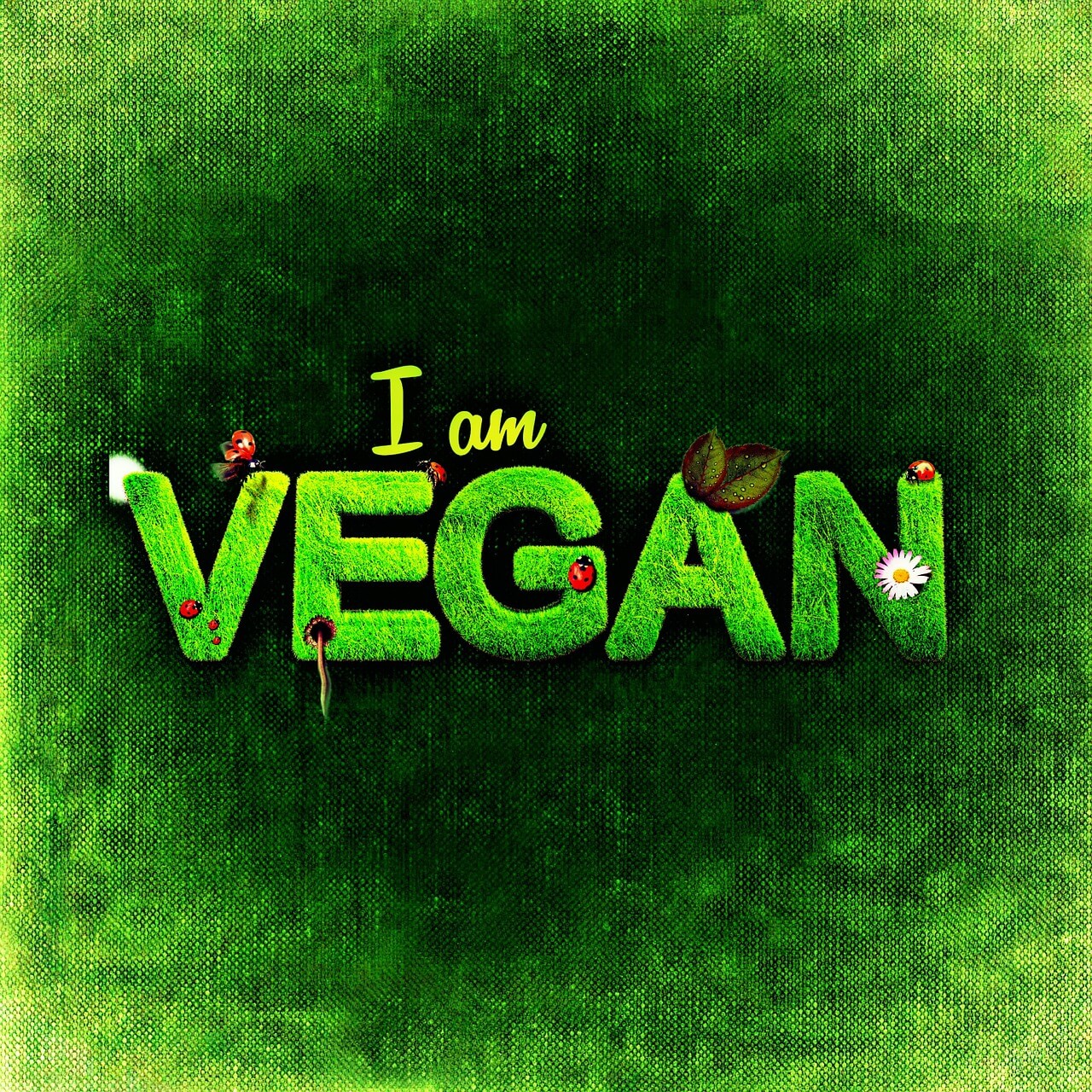 Faça as malas: conheça os 5 países mais veganos do mundo!