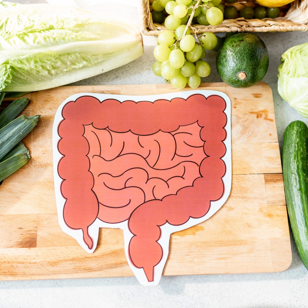 Os cinco alimentos amigos do intestino – Use Orgânico