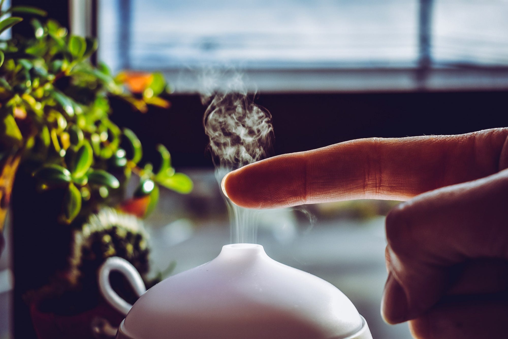Está sem ânimo? Óleos essenciais podem te ajudar! – Use Orgânico