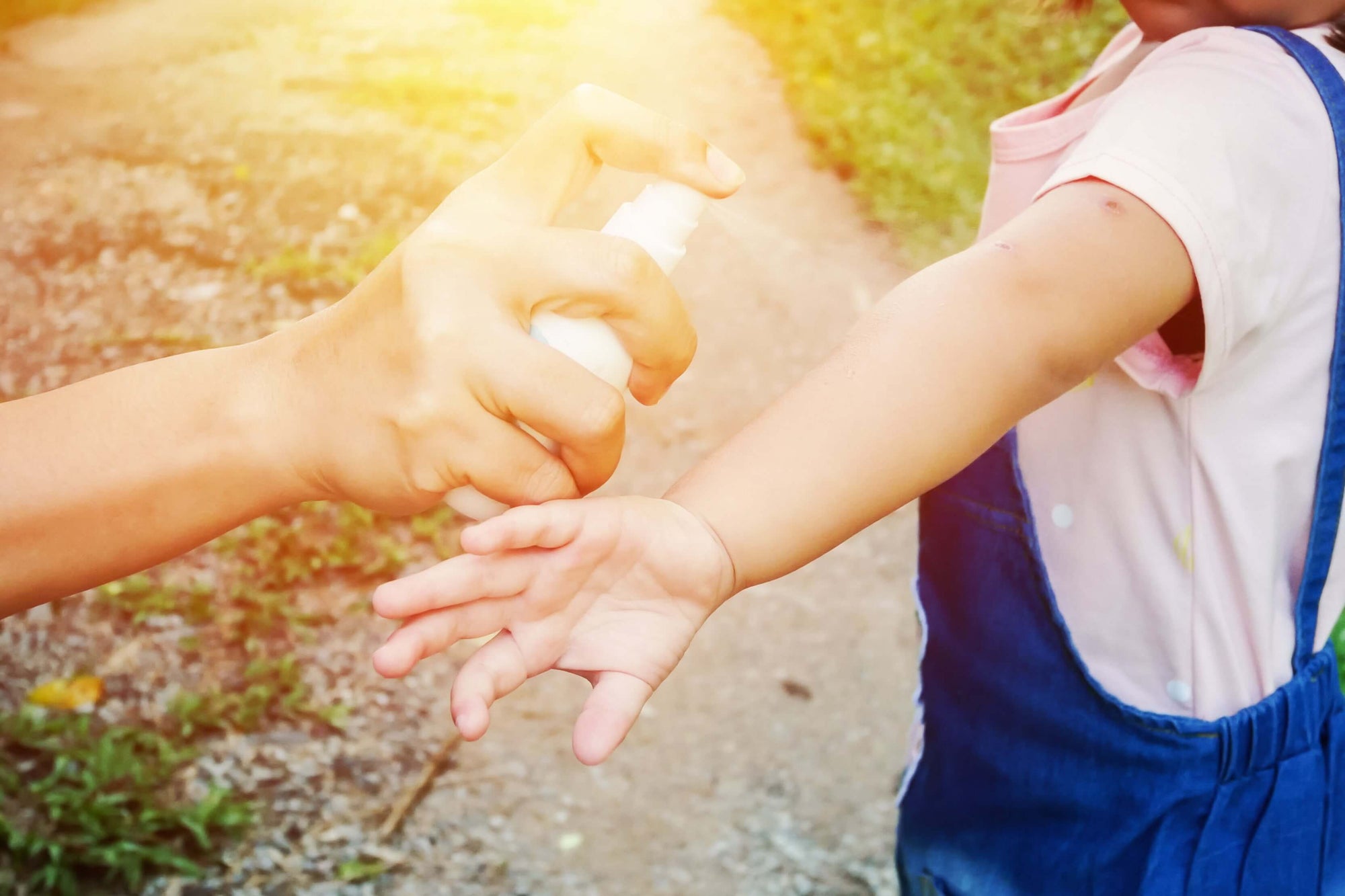 Repelente natural: Conheça as plantas com essa função e aprenda como usá-las!