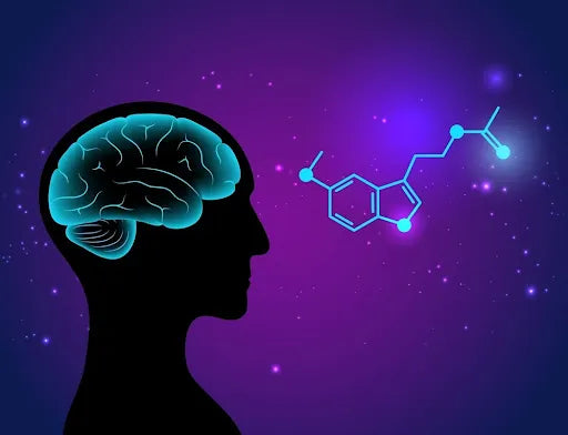 Melatonina: O que é e para que serve – Use Orgânico