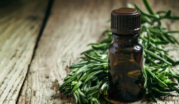 Óleo essencial de tea tree: conheça os benefícios!