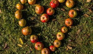 Você sabe o que é Mindful Eating?