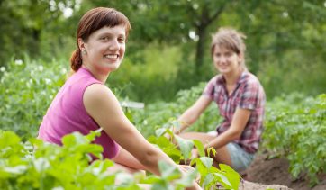 Horta doméstica: 5 motivos para ter uma em sua casa!