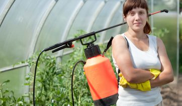 Você sabe o que é inseticida natural, para que serve e como fazer?