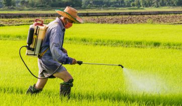 O que é agrotóxico e por que ficar longe dessa substância?