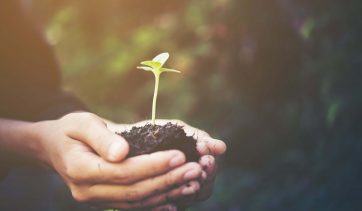 4 motivos para usar produtos orgânicos em seu dia a dia!