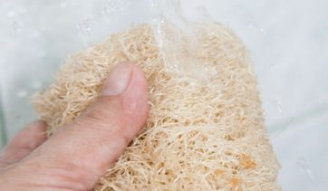 Bucha vegetal: Descubra as vantagens desse produto natural!