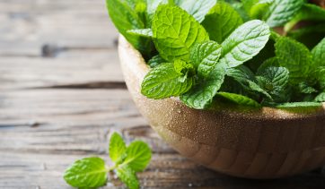 Oleo essencial - Use orgânico